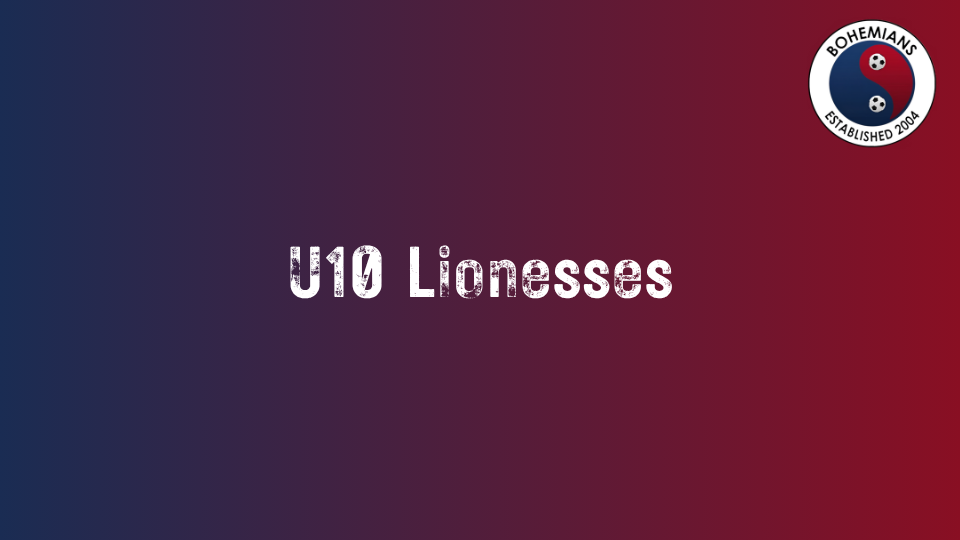 U10 Lionesses photo