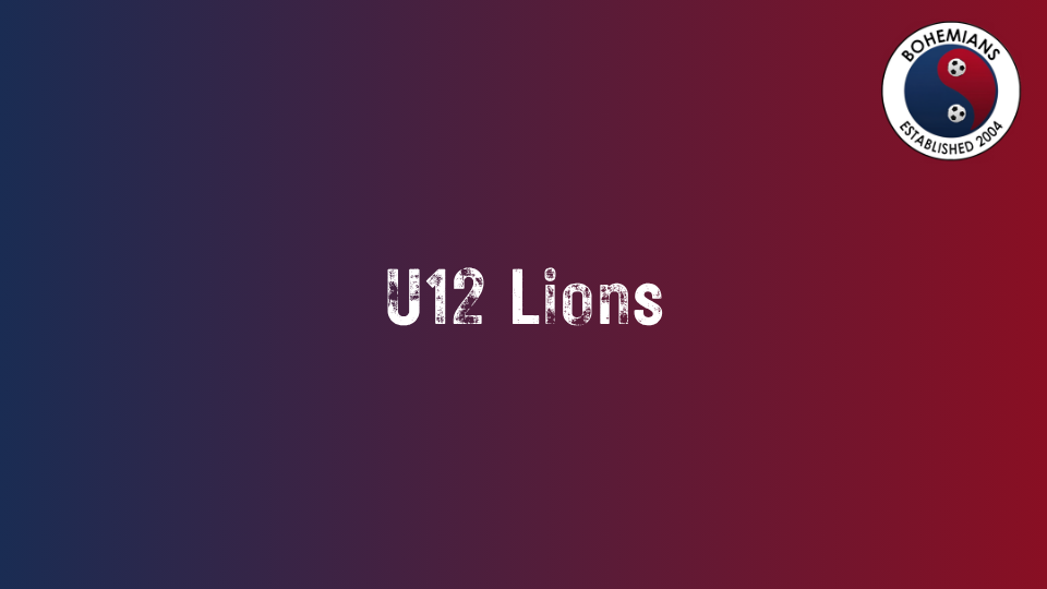 U12 Lions photo