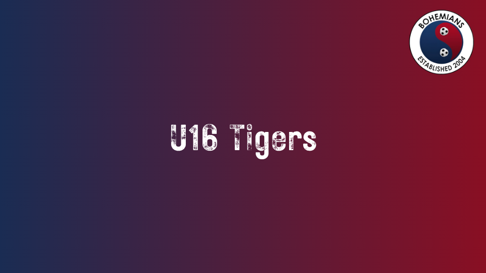 U16 Tigers photo