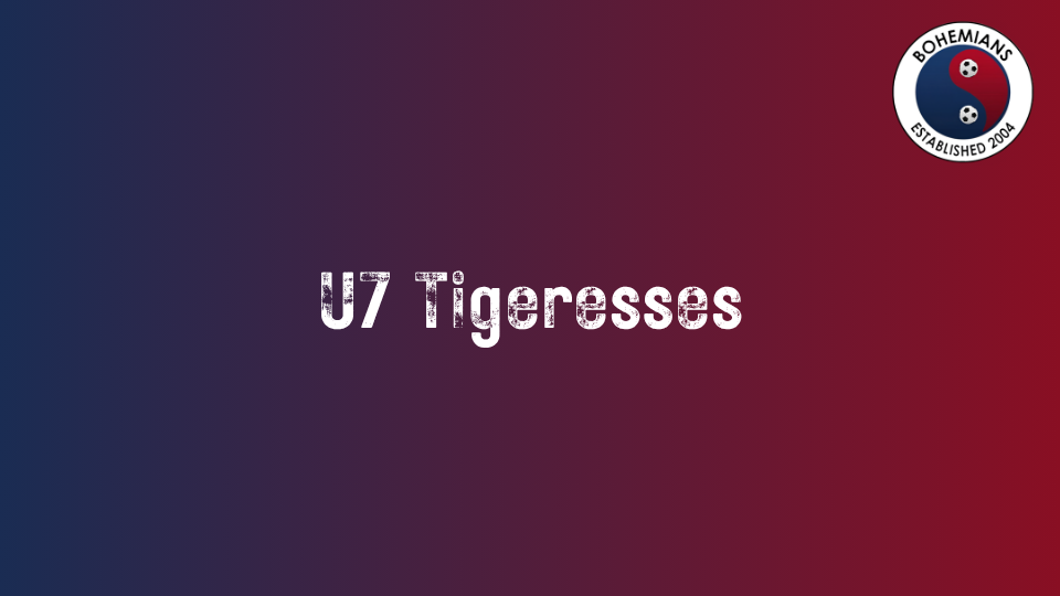 U7 Tigeresses photo