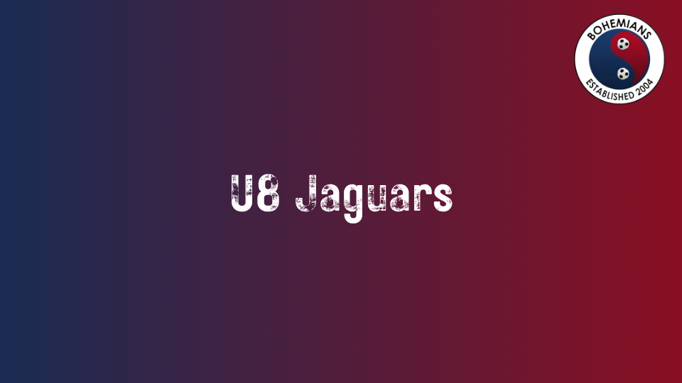 U8 Jaguars photo