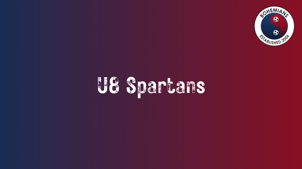 U8 Spartans photo
