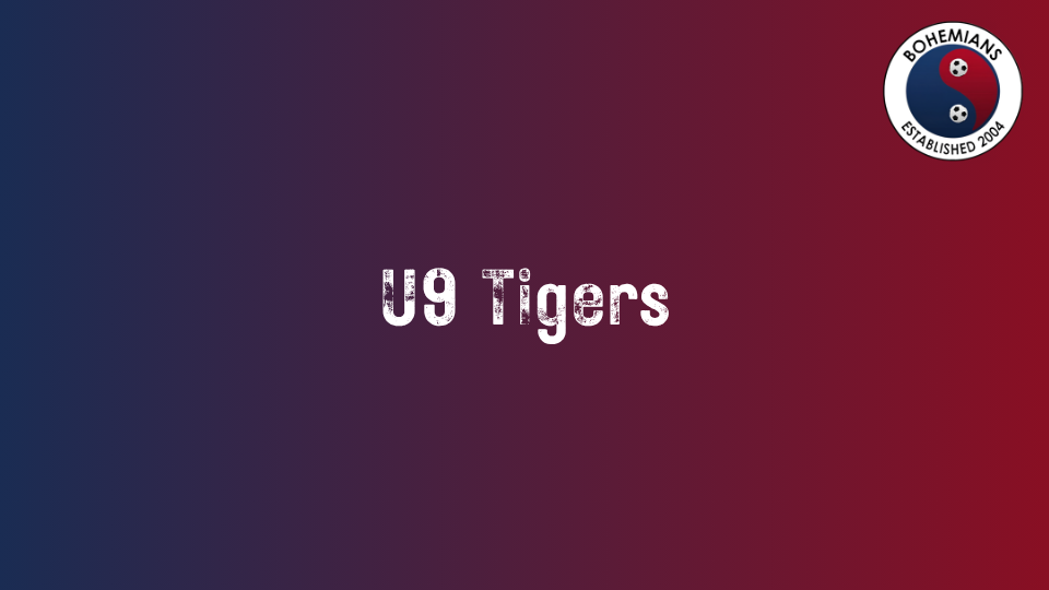 U9 Tigers photo